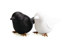 Набор для специй Sparrow Salt & Pepper