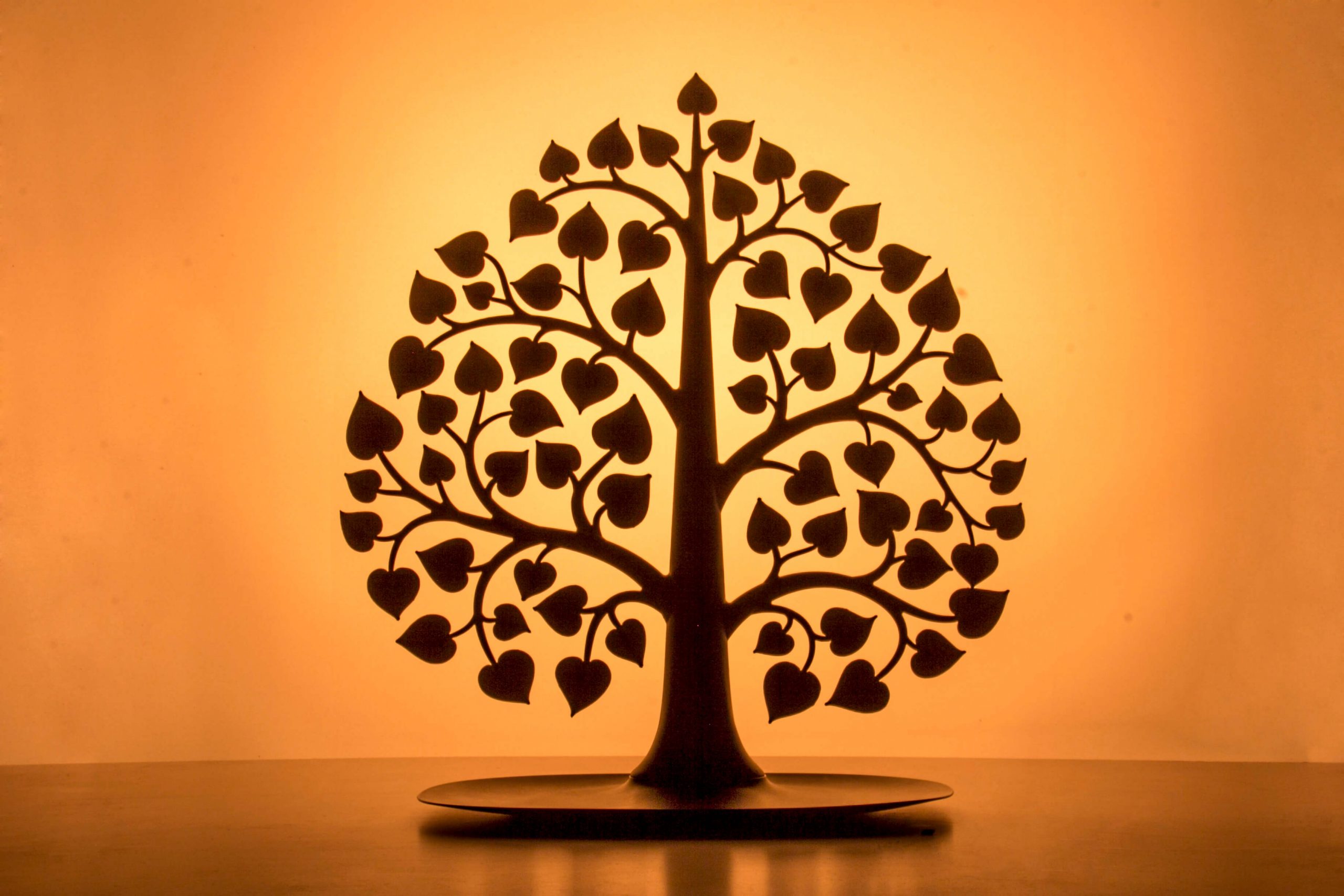 Декоративный органайзер для украшений Bodhi, черный