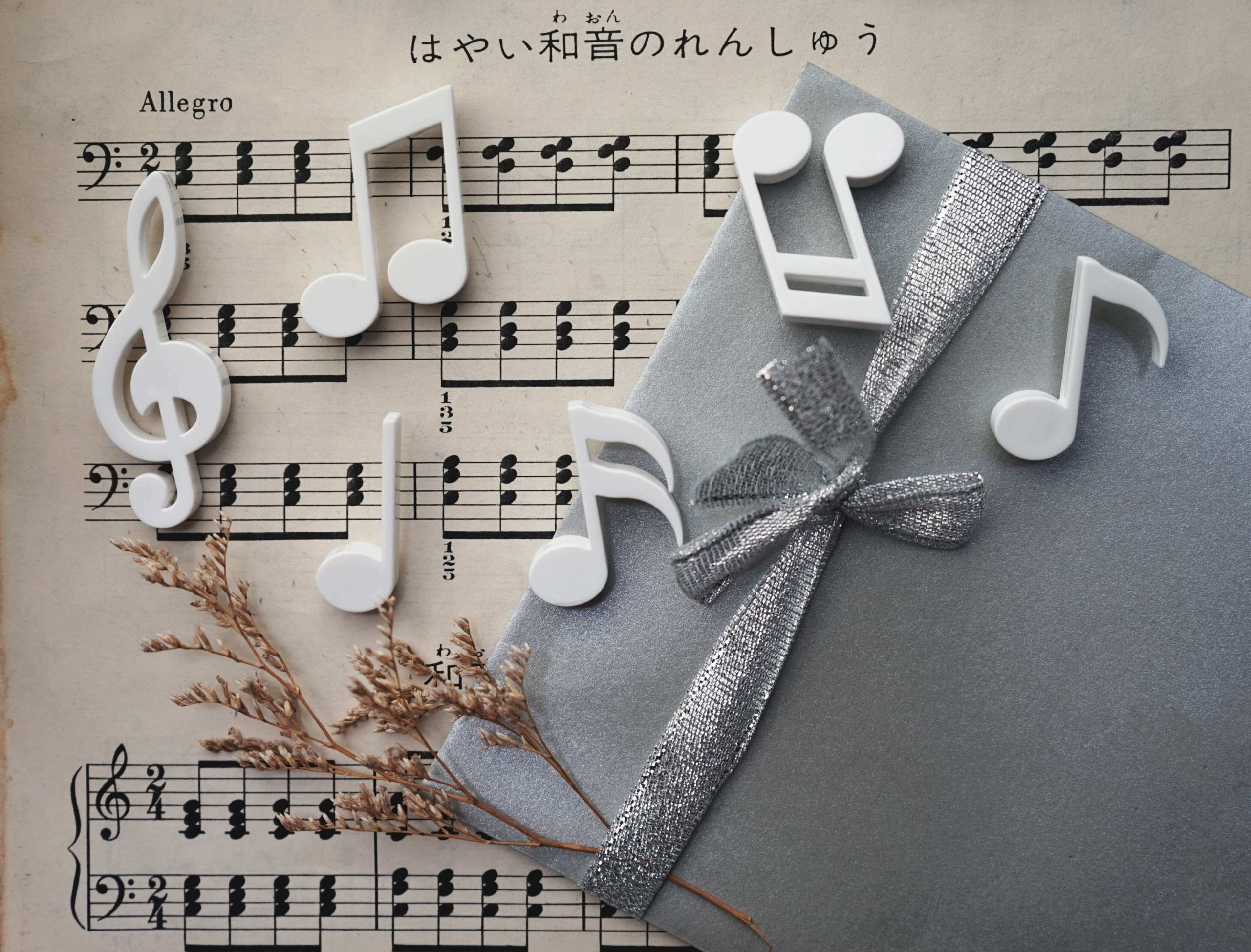 МАГНИТЫ MEMODY MAGNET (6 ШТ. / УПАК.), чёрные — QL10260-WH