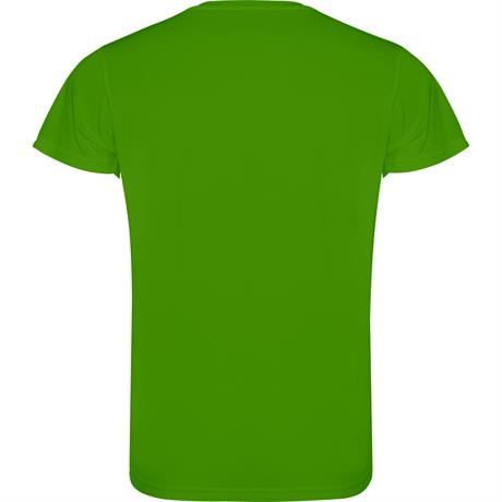 Спортивная футболка CAMIMERA мужская, ПАПАРОТНИКОВЫЙ 2XL