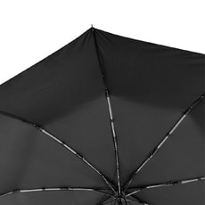 Зонт складной автоматический Forest Lotus