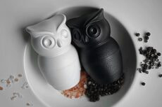 Мельница для специй Tasty Owl