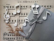 Магниты MEMODY MAGNET