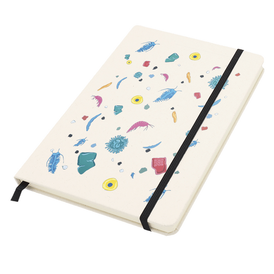 Блокнот из переработанных тетрапак в твёрдом переплёте Rebirth