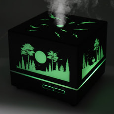 Светодиодный увлажнитель Wisdom с подсветкой гравировки