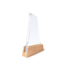 Стеклянная награда NAVIS