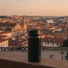 Термоc 360 Click
