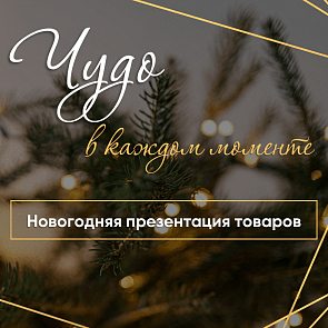 Новогодняя презентация товаров